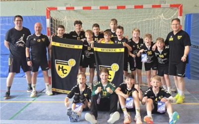 Handballregions-Meister (mD)
